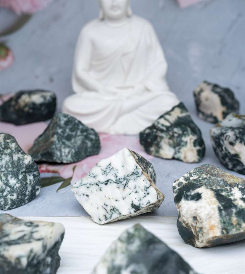 Tree Agate Rough/Raw Natural Crystal for Tumbling Chakra Balancing - TheIndianHand