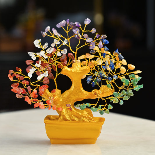Seven Chkara Feng shui NEWLAUNCH